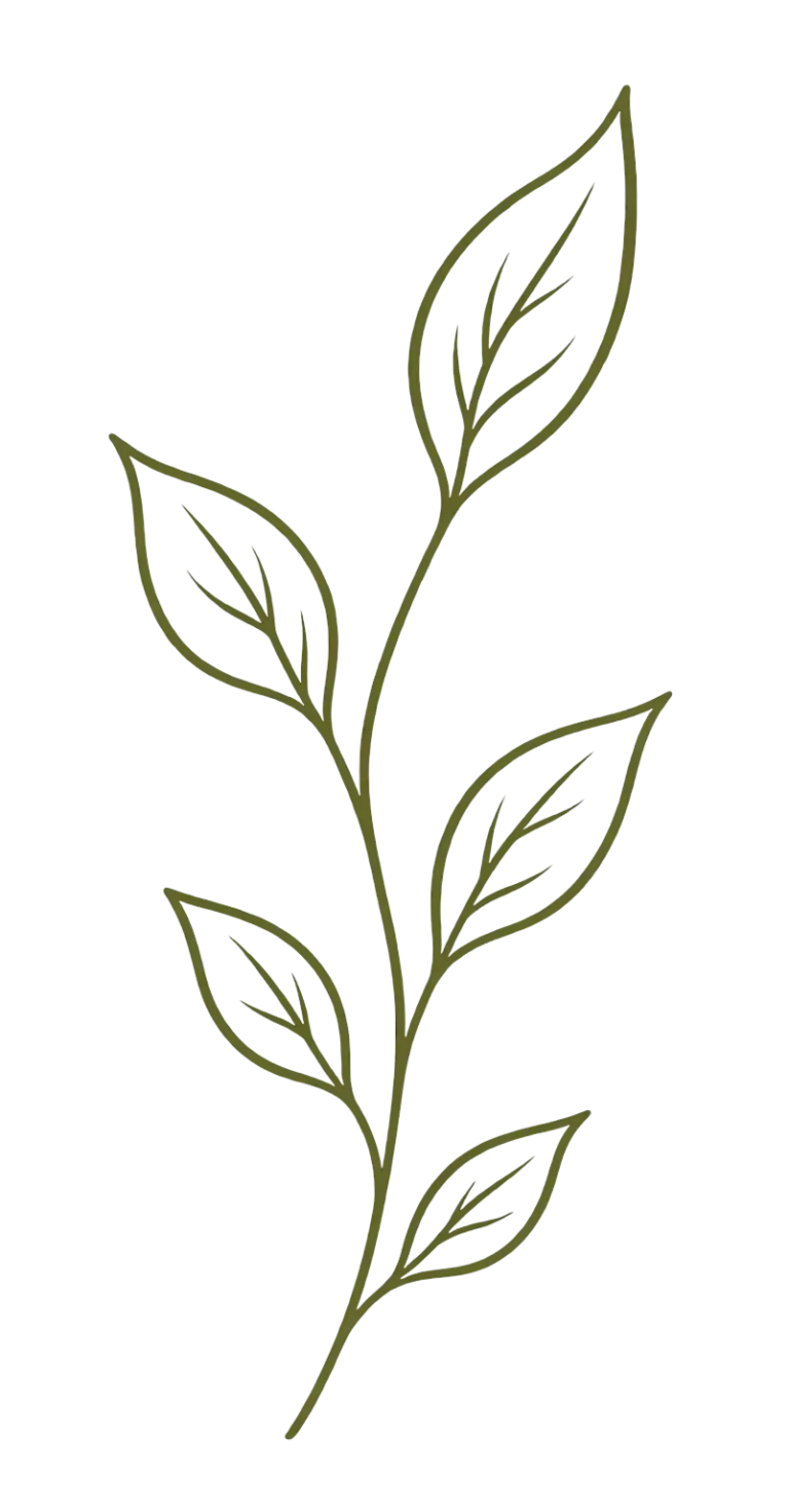 horizon botanical branch transparent 5 leaves tr